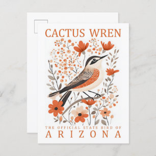 Cactus Wren Bird of Arizona USA Travel Postcard