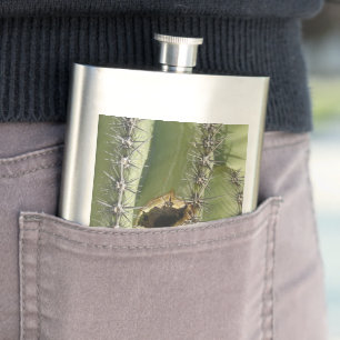 Cactus Wren Nest classic stainless steel flask