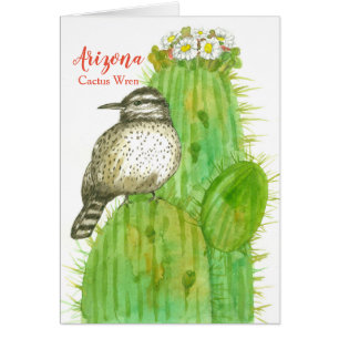 Cactus Wren State Bird of Arizona Saguaro Blooms