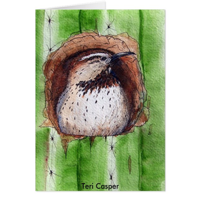 Cactus Wren Watching (Front)