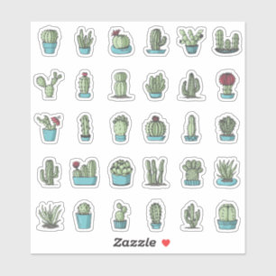 Cactuses Succulents Plants Hand Drawn Botanical