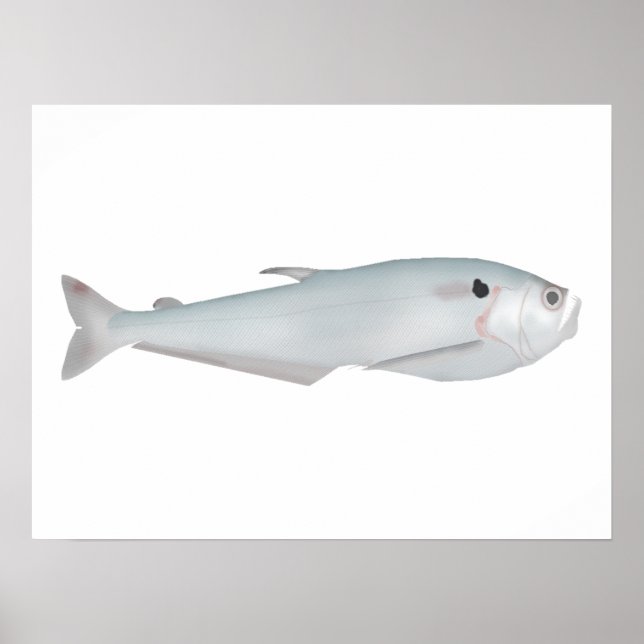 Cacunda Poster (Front)