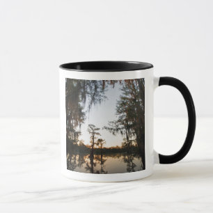 Caddo Lake at sunrise Mug