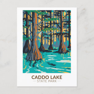Caddo Lake State Park Texas Vintage Postcard