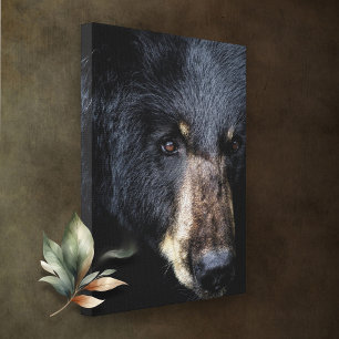 Cades Cove Black Bear Canvas Print