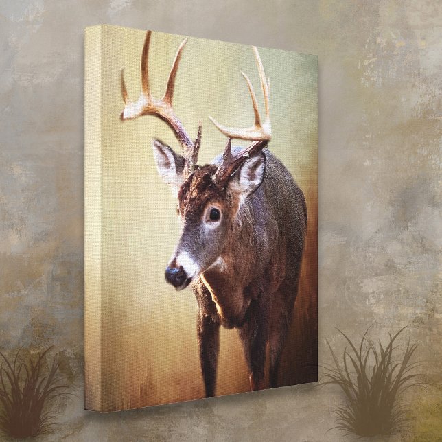 Cades Cove Buck Canvas Print (Creator Uploaded)