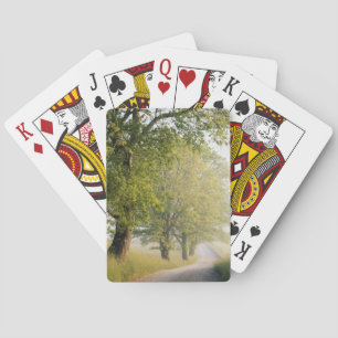 Cades Cove Great Smokey Mountains, TN Playing Cards