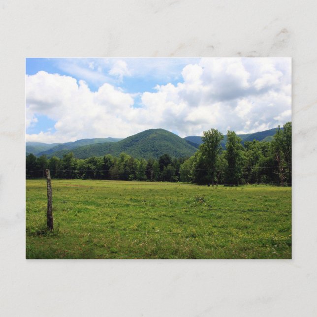 Cade's Cove Postcard (Front)