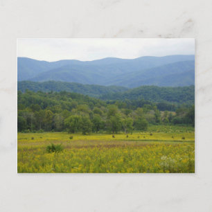Cades Cove Postcard