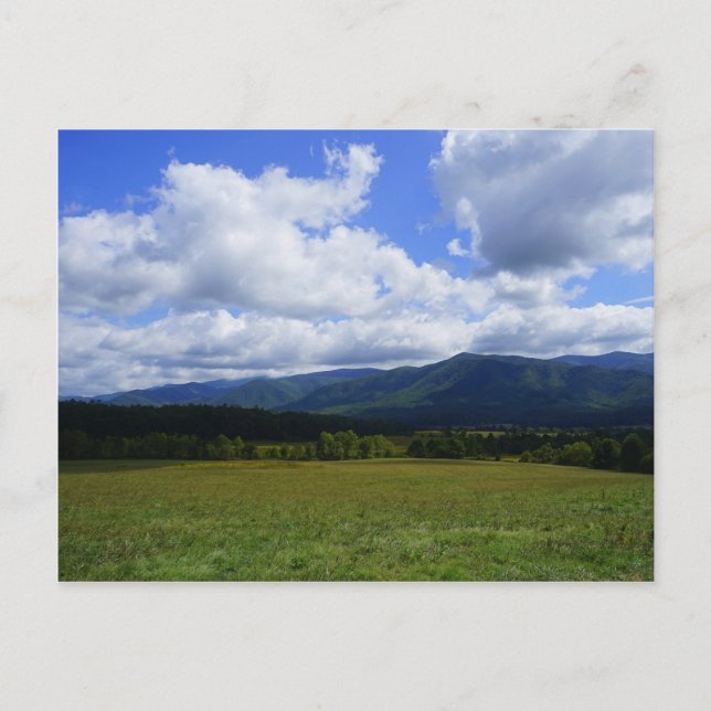 Cades Cove Postcard (Front)