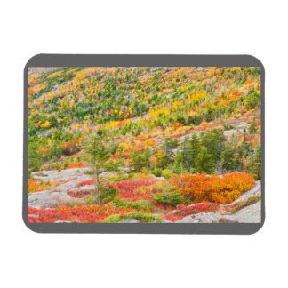 Cadillac Mountain in Fall, Acadia National Park Magnet
