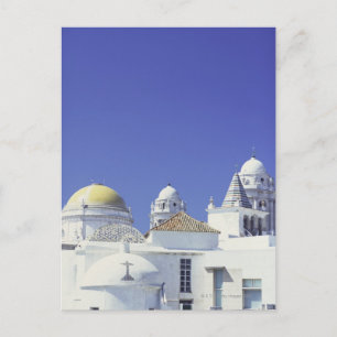 Cadiz Cathedral in Cadiz, Spain Postcard