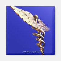Caduceus, computer artwork. The caduceus is an