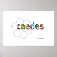 Caedes.net Logo
