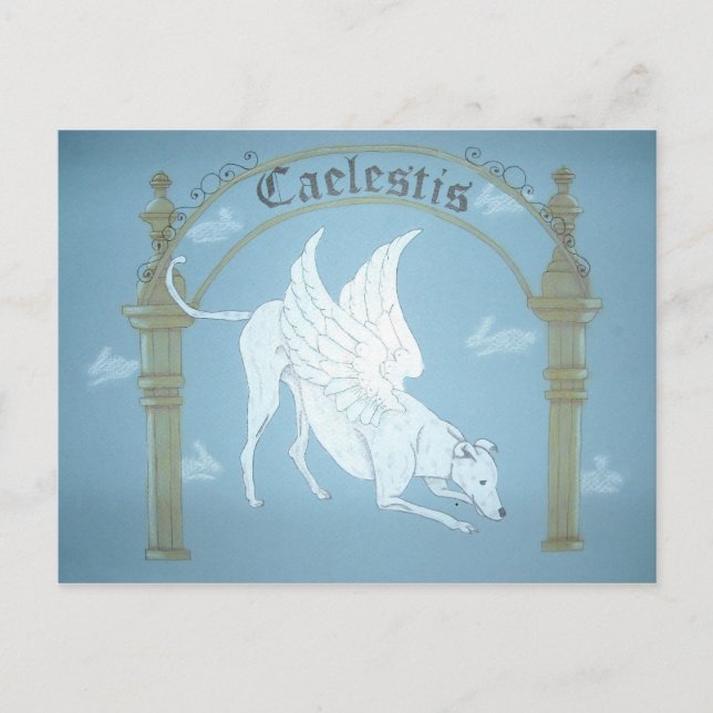 Caelestis "Hound of Heaven" post card (Front)