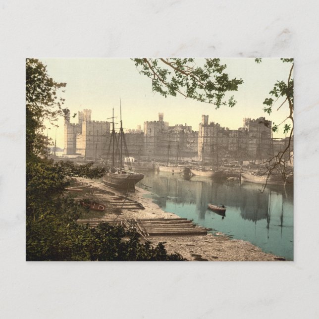 Caernarfon Castle, Gwynedd, Wales Postcard (Front)
