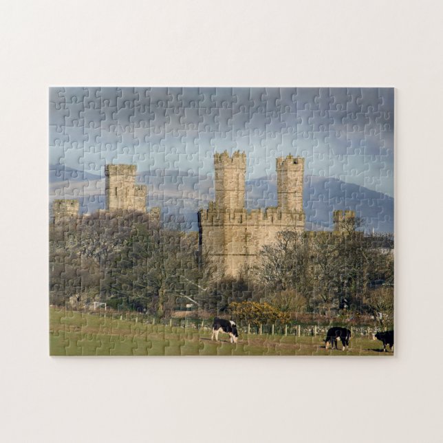 Caernarfon Castle in Wales Jigsaw Puzzle (Horizontal)