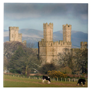 Caernarfon Castle Wales. Tile