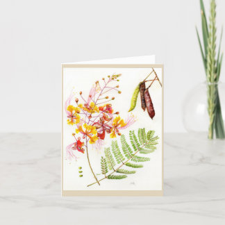 Caesalpinia pulcherrima 'Pride-of-Barbados' Thank You Card