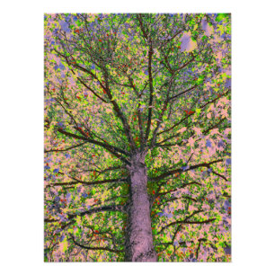 Caesar Salad 15 Photo Print