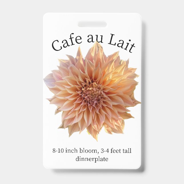 Cafe au Lait Dahlia ID Badge (Front)