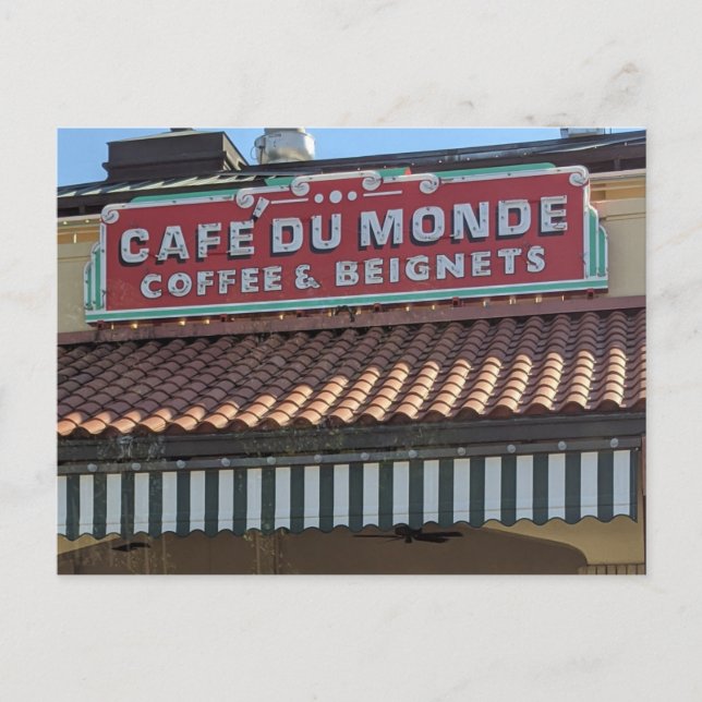 Cafe Du Monde Beignet Postcard (Front)