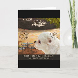 Cafe Maltese Holiday Card