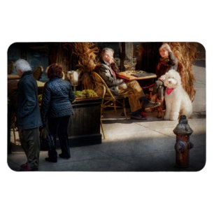 Cafe - NY - Waiter I would like to order Magnet