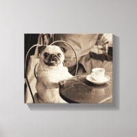 Cafe Pug