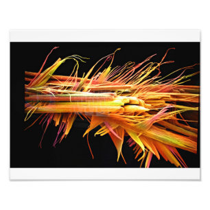 Caffeine Crystals Print