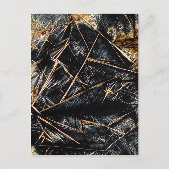 Caffeine under the microscope postcard (Front)