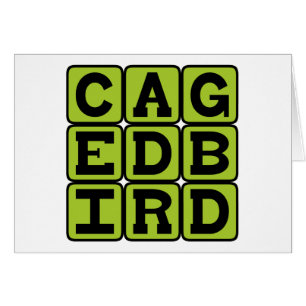 Caged Bird, Avian Pet