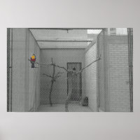 Caged bird