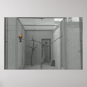 Caged bird poster
