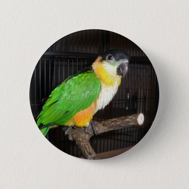 Caique Button (Front)