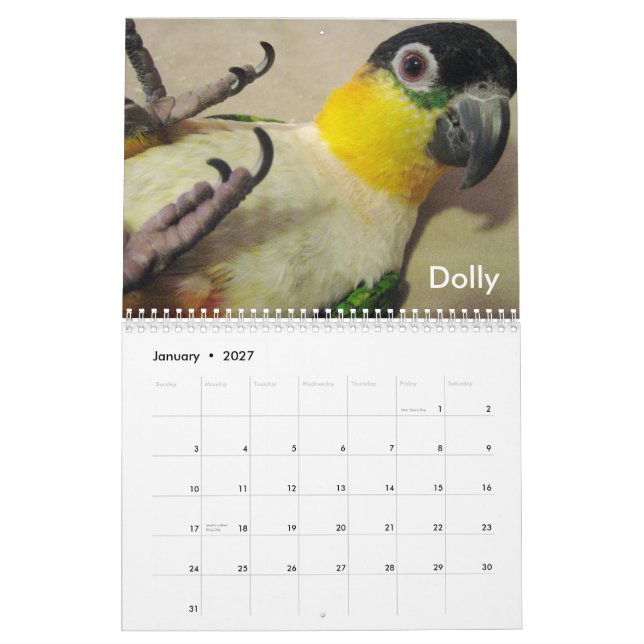 Caique Crazy 2011 Calendar (Jan 2027)