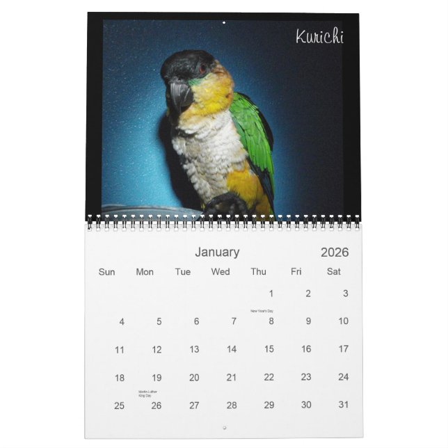 Caique Crazy 2012 Calendar (Jan 2026)