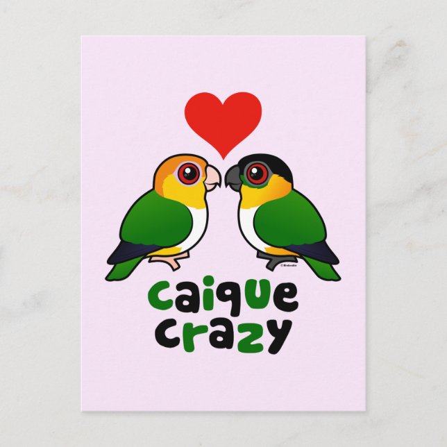 Caique Crazy Postcard (Front)