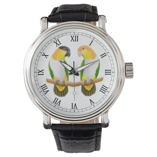 Caique Parrot Love Watch (Front)