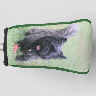 Cairn  golf head cover