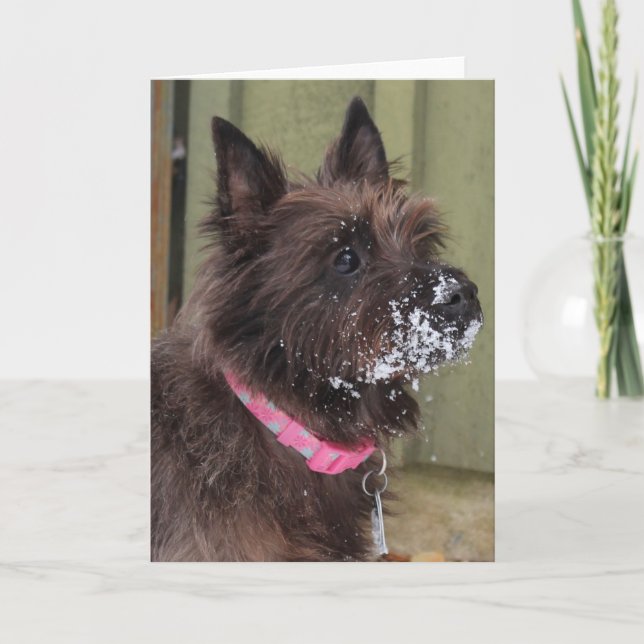 Cairn in snow card (Front)