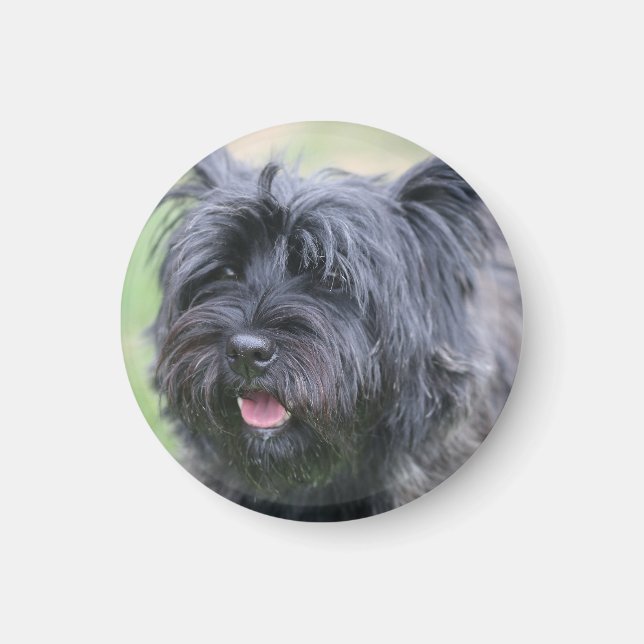 Cairn Magnet (Front)