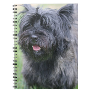 Cairn notebook