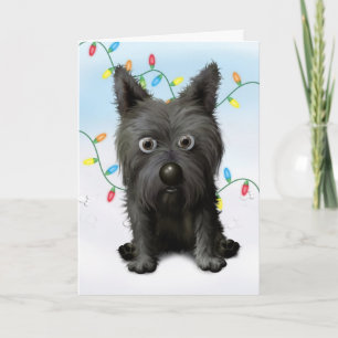 Cairn Terrier 2 Christmas Holiday Card