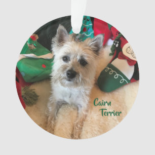 Cairn Terrier Acrylic Ornament