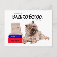 Cairn Terrier Back to School