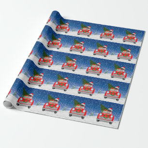 Cairn Terrier Dog Driving Car In Snow Christmas Wrapping Paper