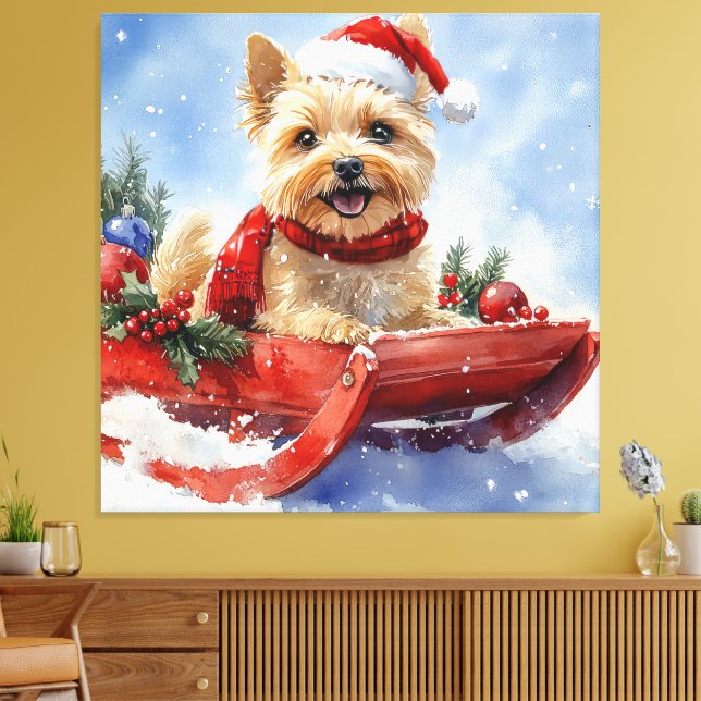 Cairn Terrier Dog in Sledge Let it Snow Christmas Canvas Print (Insitu(LivingRoom))