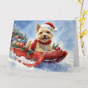 Cairn Terrier Dog in Sledge Let it Snow Christmas Card