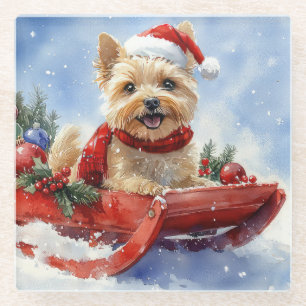 Cairn Terrier Dog in Sledge Let it Snow Christmas Glass Coaster